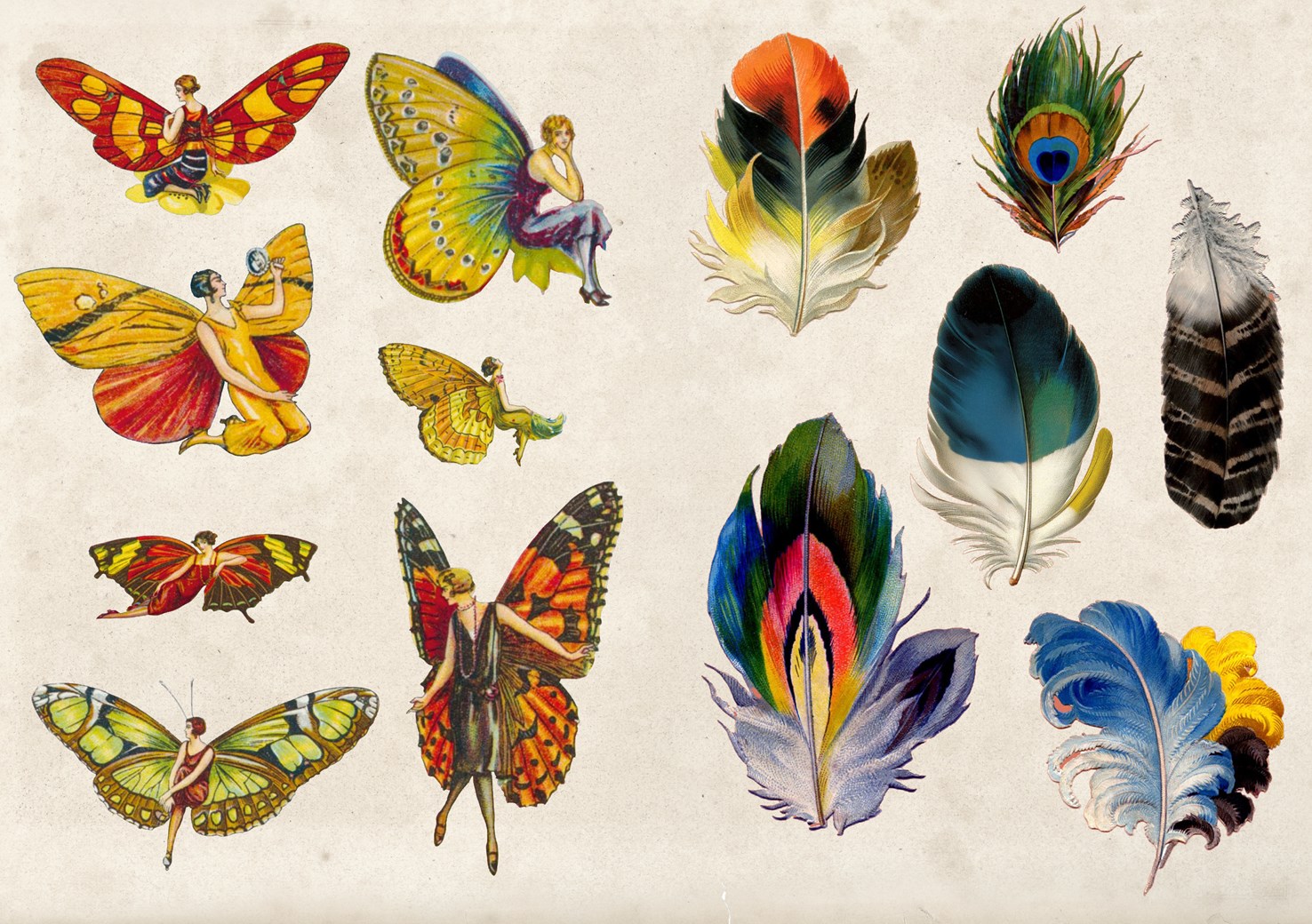 The Curious Collections Sticker Book - 5