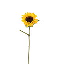 Solros 60 cm