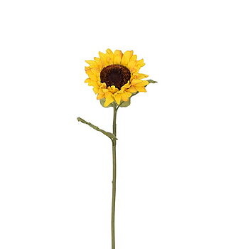 Solros 60 cm