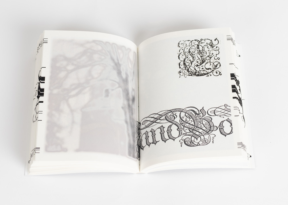Phoebe Crookes : Archival Desires  - 2