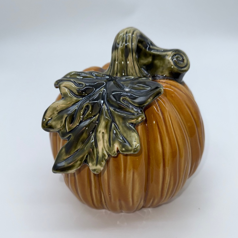 Pumpkin orange - 3