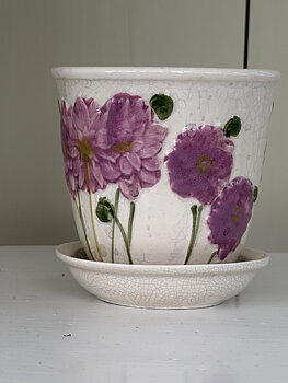 Kruka Dahlia