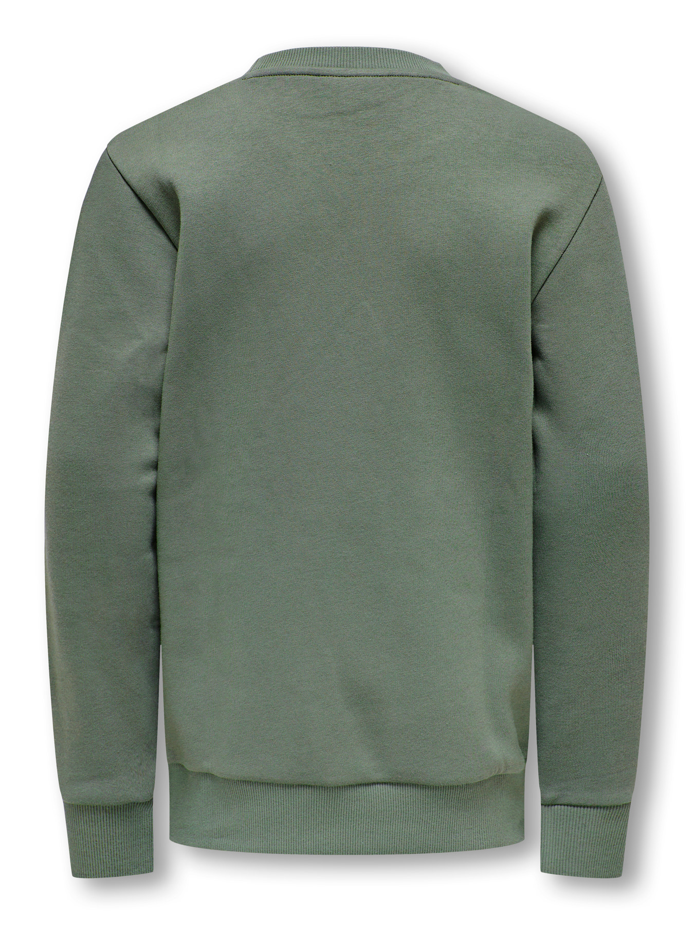 OSJCERES CREW NECK SWT NOOS Castor Gray - 2