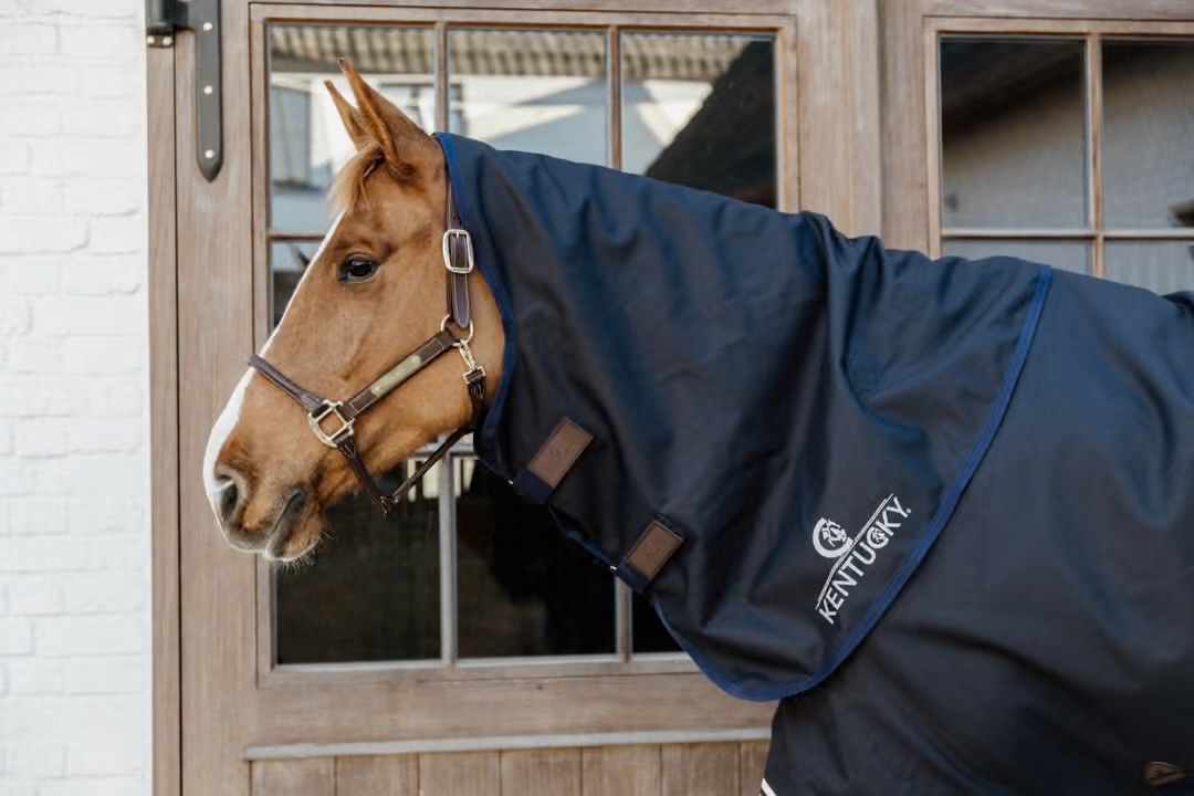 KENTUCKY  Neck All Weather Waterproof Comfort Navy 100 gr  - 2