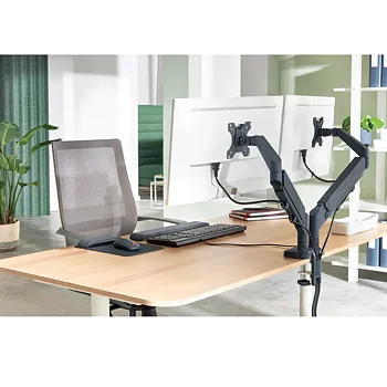 Monitorarm Ergo Dubbel Grå
