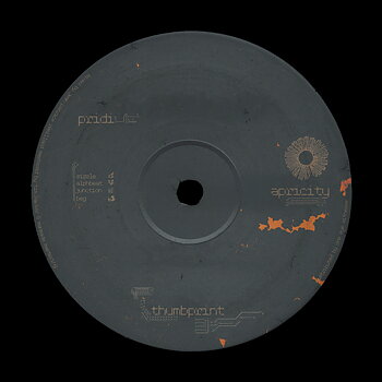 pridi - apricity 