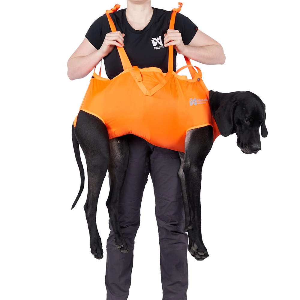 Bärbår till hunden om den blir skadad
