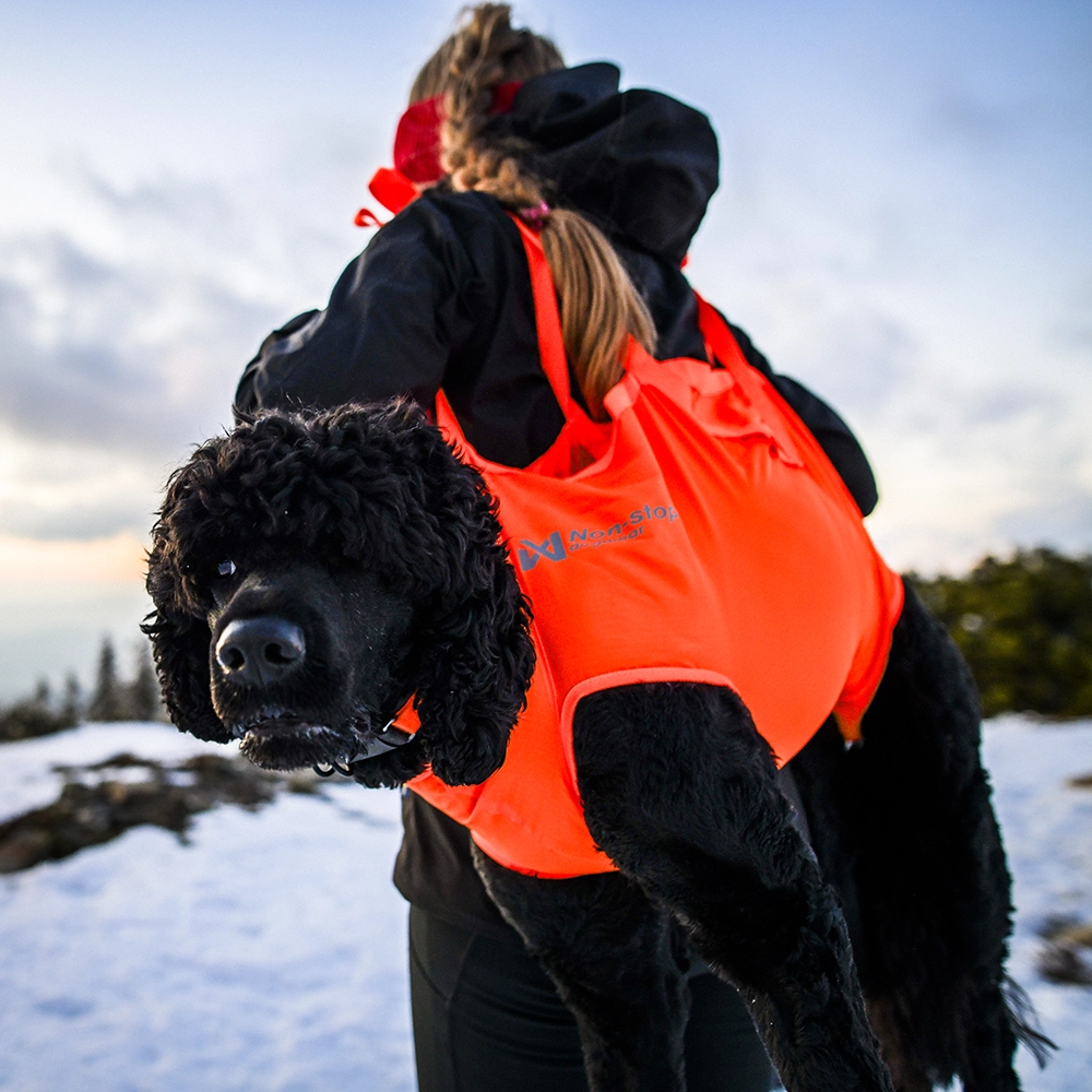 Non-stop dog rescue sling - nödbår till hund - 5