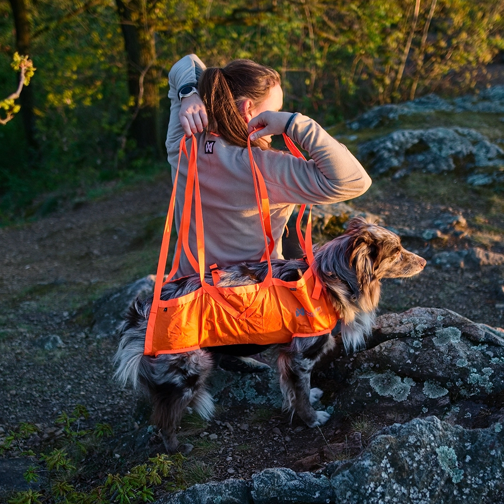 Non-stop dog rescue sling - nödbår till hund - 6