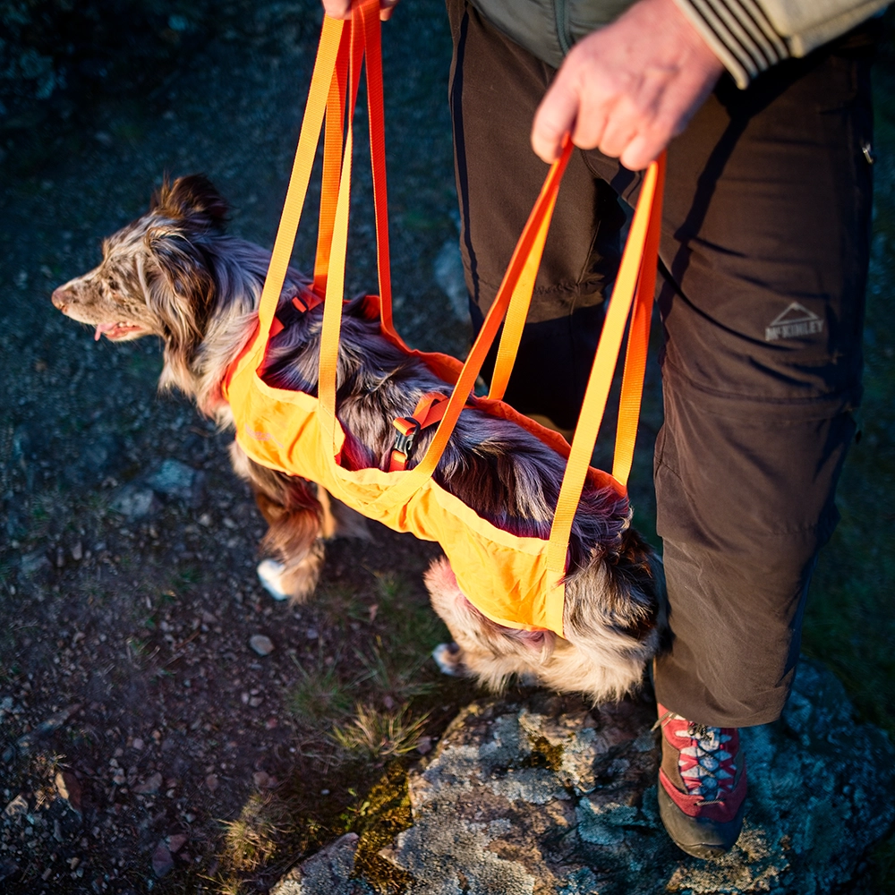 Nödbår till hunden Non-stop dog rescue sling