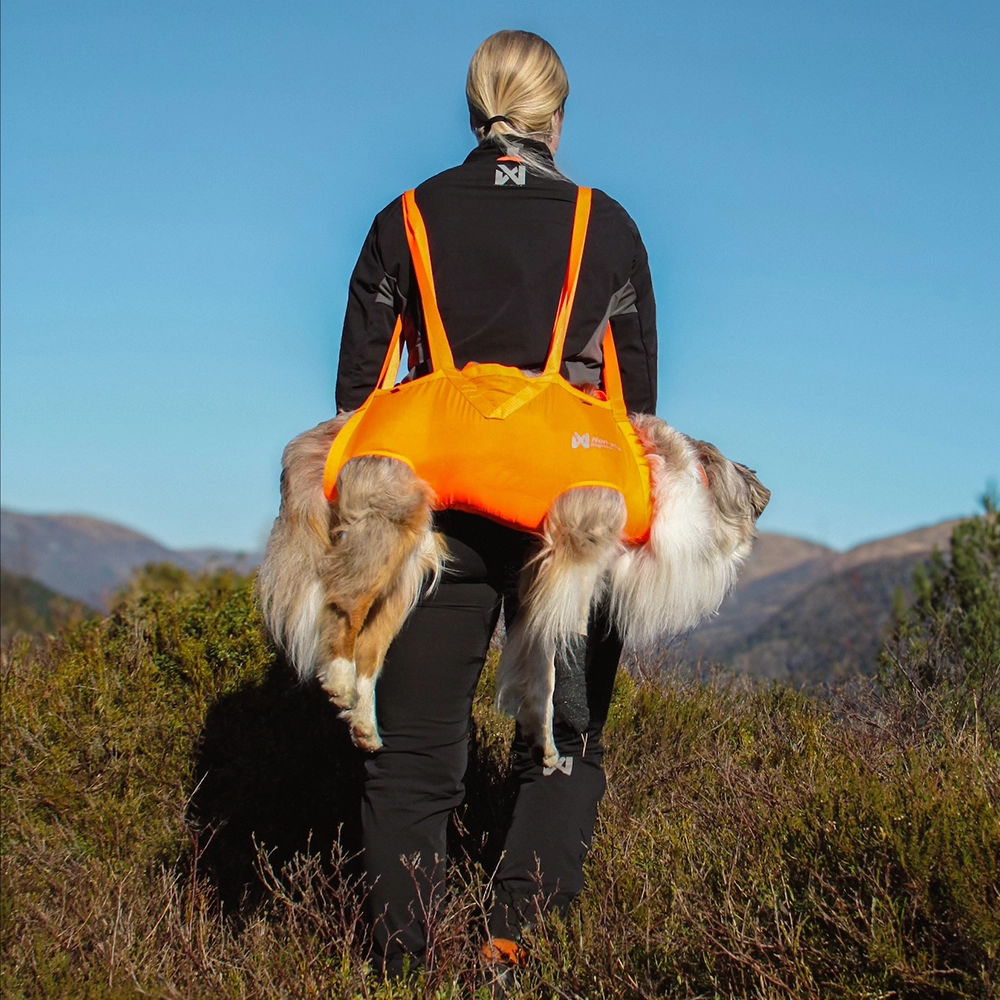 Non-stop dog rescue sling bärsele till hund