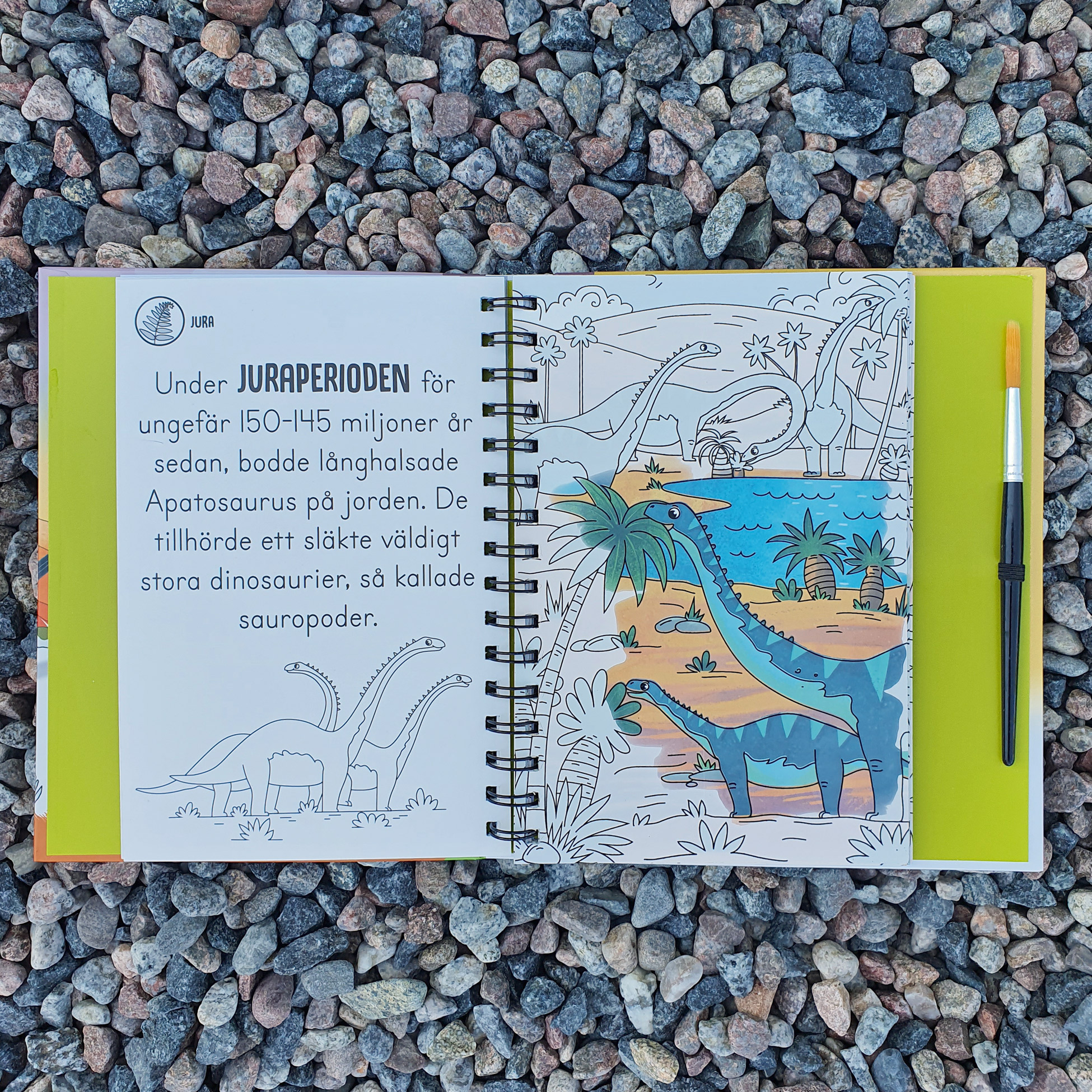VATTENMÅLARBOK - DINOSAURIER - 2