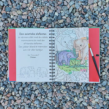 VATTENMÅLARBOK - DJUR