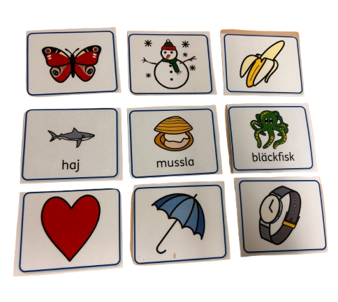 55 bildkort (4)