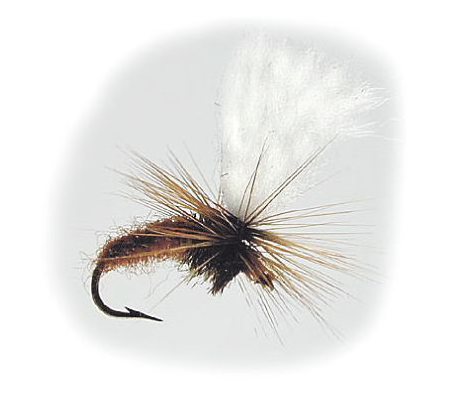 Torrfluga - Klinkhamer Brun