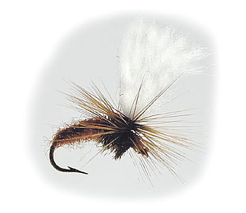 Torrfluga - Klinkhamer Brun