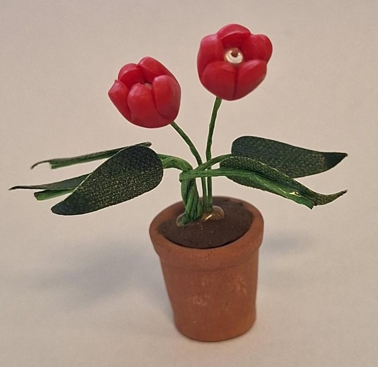 Tulips in pot red