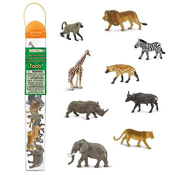 Sydafrika djur  - Safari 