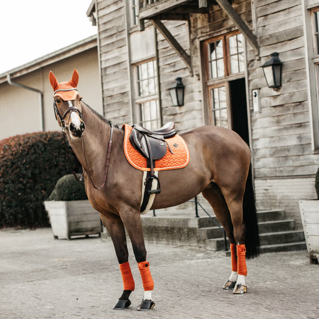 KENTUCKY VELVET HOPPSCHABRAK - ORANGE - 6