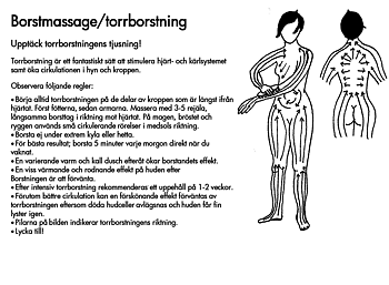Torrborste med skaft - iris hantverk 