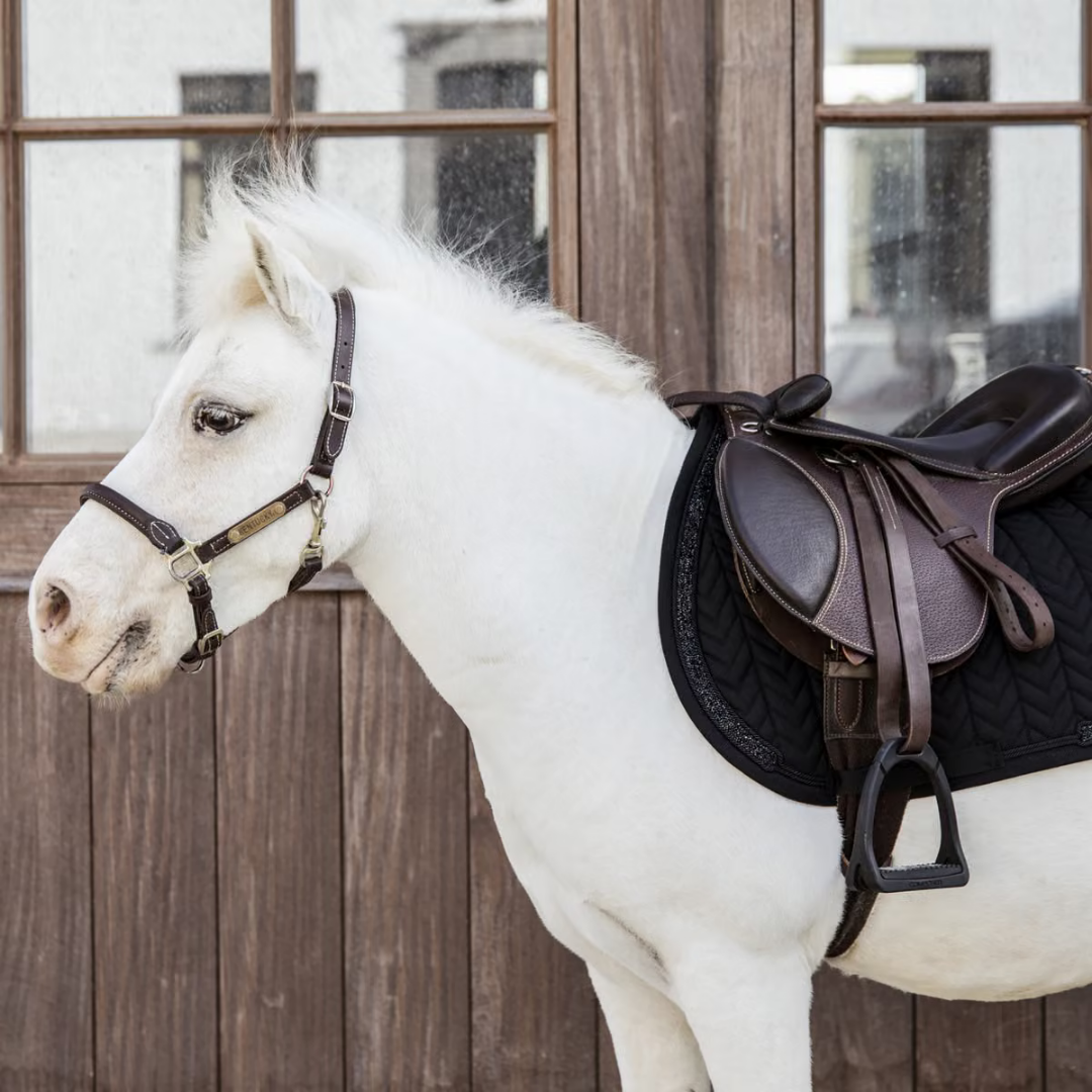 KENTUCKY SADDLE PAD GLITTER STONE JUMPING - BLACK - 5
