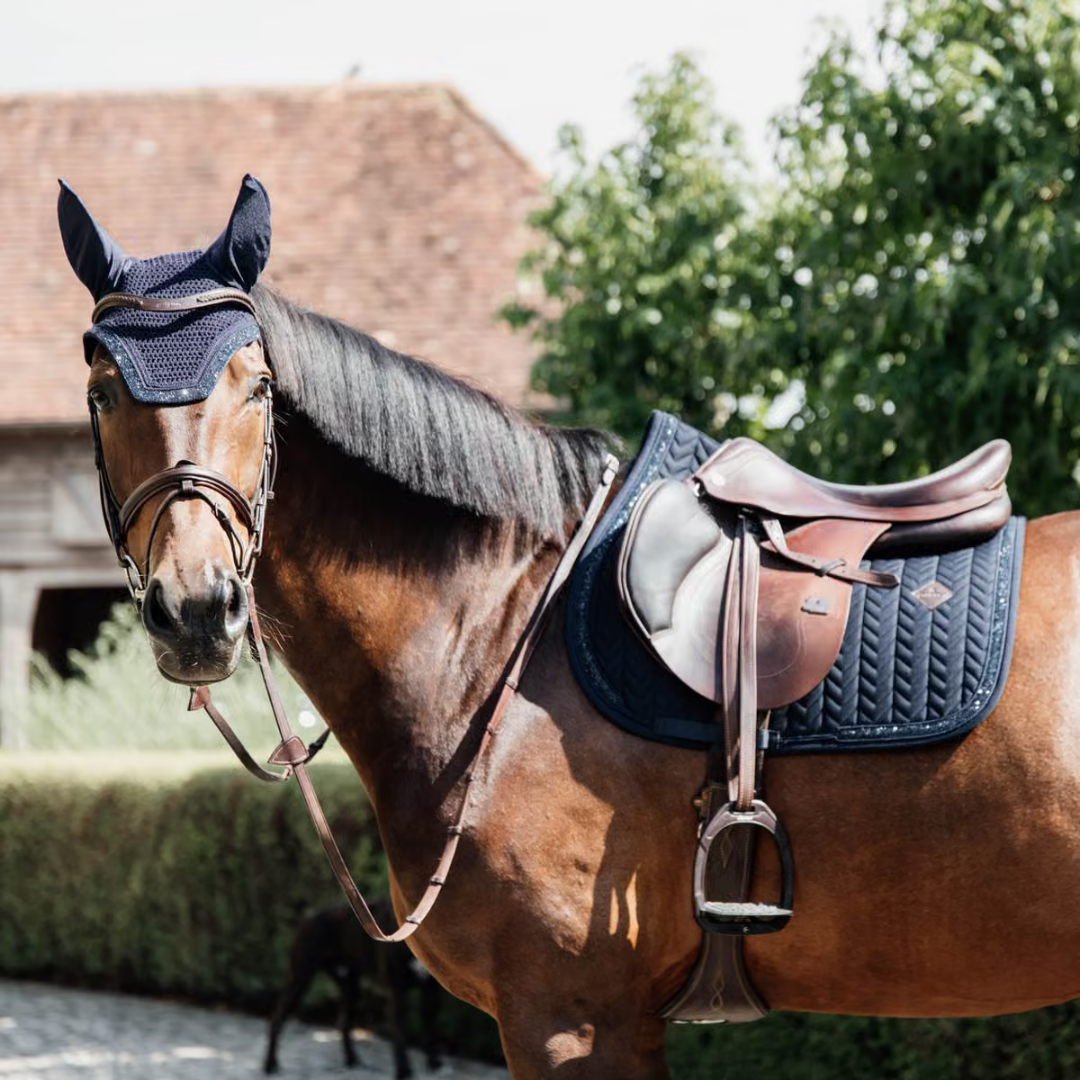 KENTUCKY SADDLE PAD GLITTER STONE JUMPING - NAVY - 4