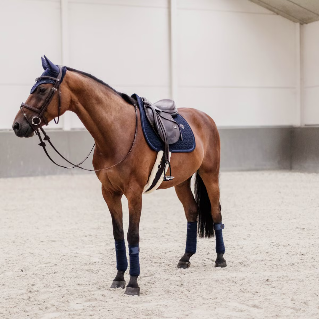 KENTUCKY SADLE PAD GLITTER ROPE JUMPING - NAVY - 5