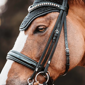 KENTUCKY FLY VEIL WELLINGTON GLITTER BAND - BLACK