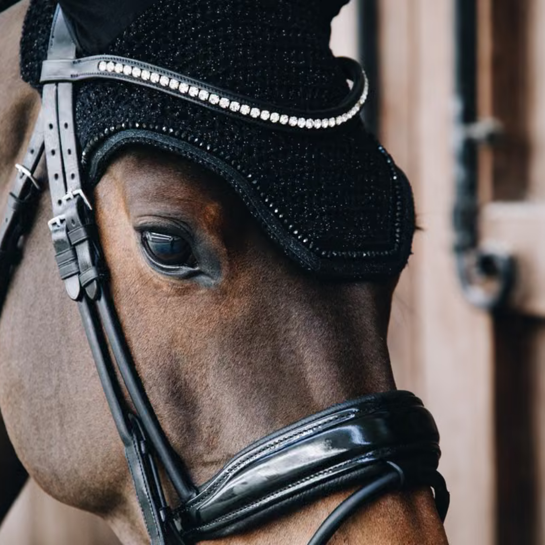 KENTUCKY FLY VEIL WELLINGTON GLITTER BAND - BLACK - 4