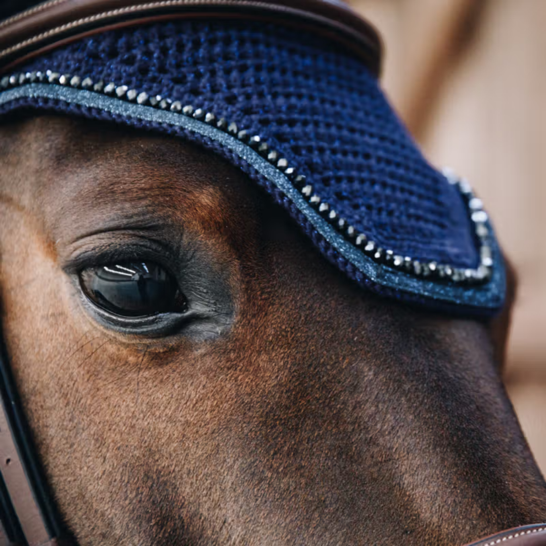 KENTUCKY FLY VEIL WELLINGTON GLITTER BAND - DARK NAYY - 4