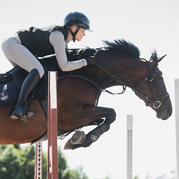 HORSE LIFE AIRBAG SAFETY VEST FLEXFLOW