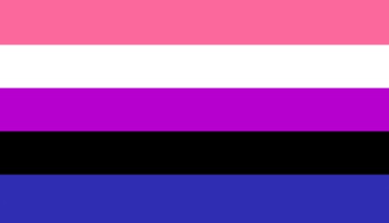 Genderfluid XL-party-Flagge