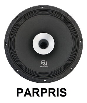 RJAUDIO RJCX-10.1