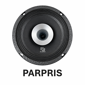 RJAUDIO RJCX10,1