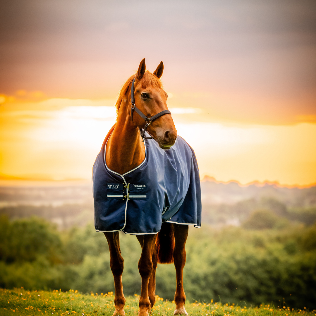 AMIGO RIPSTOP 9 FLEECE LINED TURNOUT 50GR  - 3