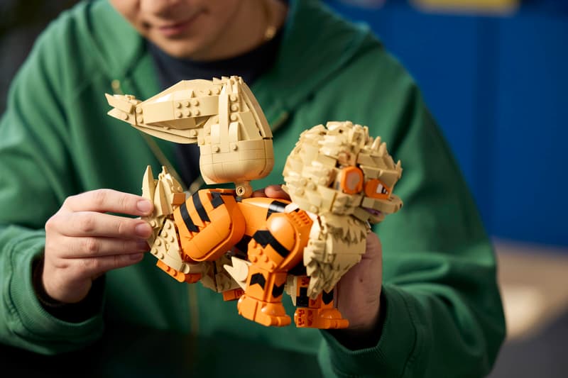LEGO Pokeḿon 72160 Arcanine - 13