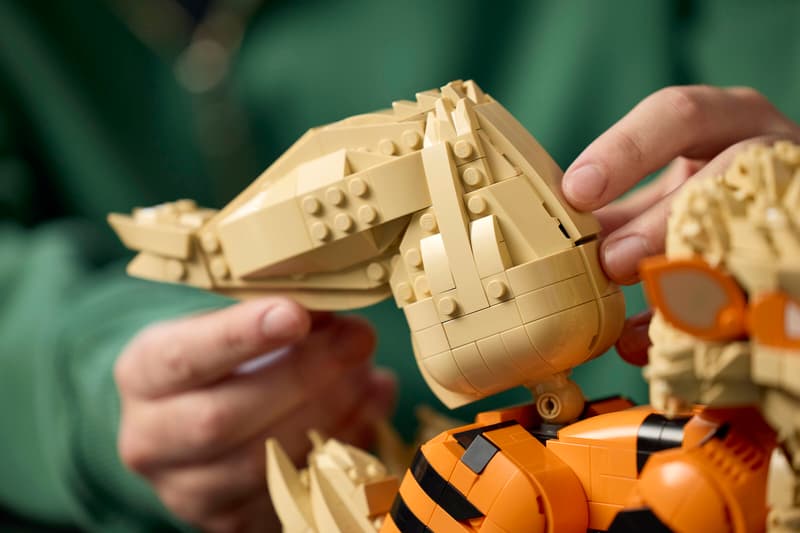 LEGO Pokeḿon 72160 Arcanine - 3