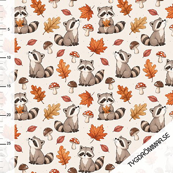 FALL RACOON
