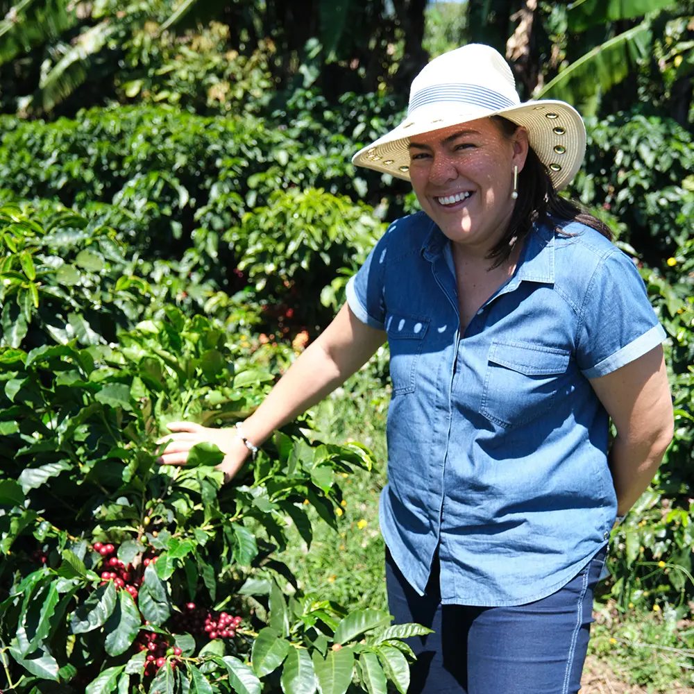 Gringo Nordic - Las Lajas Yellow Diamond Anaerobic Honey - Costa Rica - Ljusrostade hela kaffebönor - 250g - 2