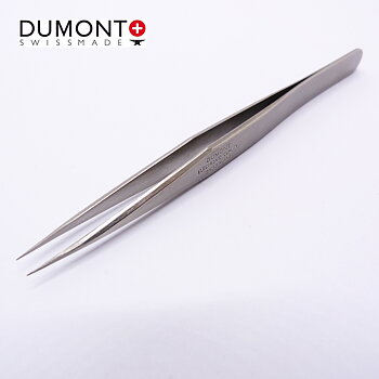 Dumont 0304-P-PO