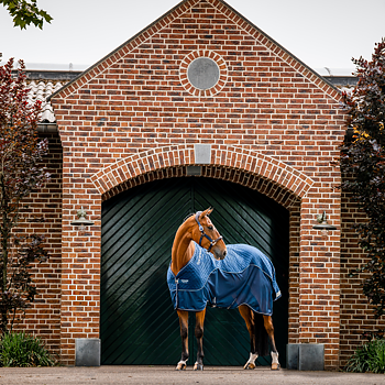 HORSEWARE SIGNATURE TRAVEL COOLER