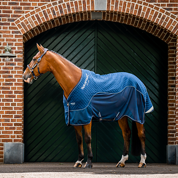 HORSEWARE SIGNATURE TRAVEL COOLER
