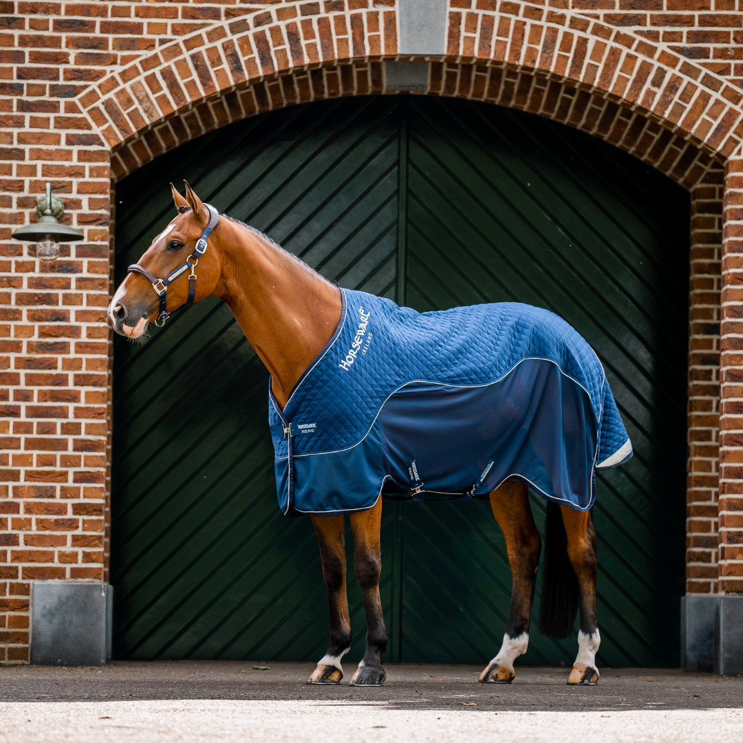 HORSEWARE SIGNATURE TRAVEL COOLER - 3