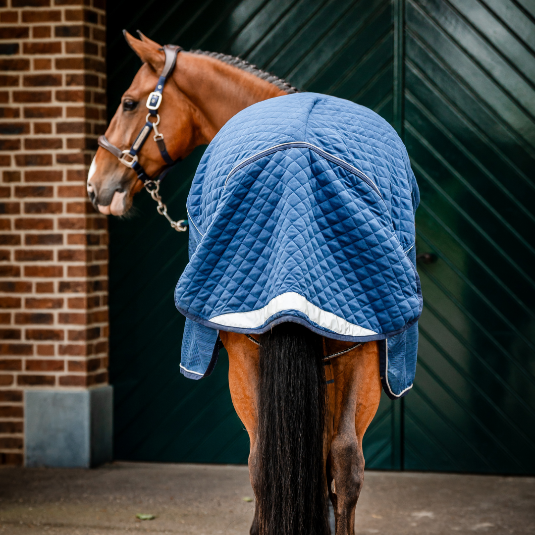 HORSEWARE SIGNATURE TRAVEL COOLER - 7