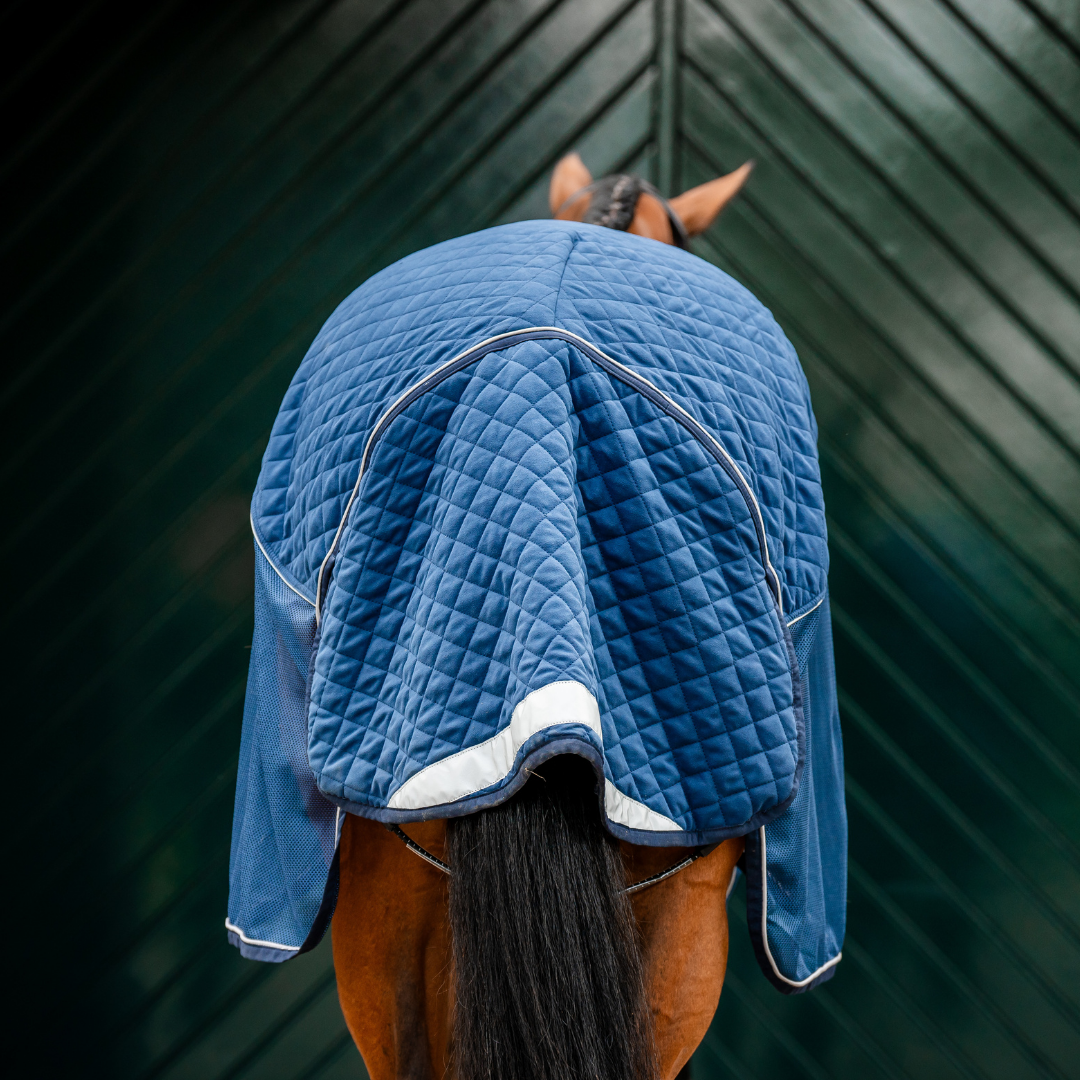 HORSEWARE SIGNATURE TRAVEL COOLER - 8