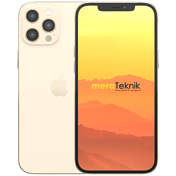 Apple iPhone 12 Pro Max 5G Guld