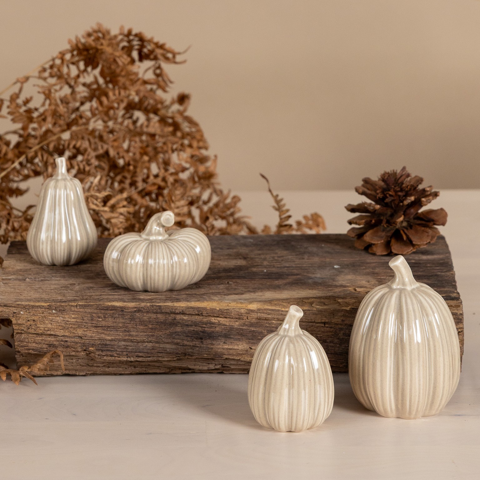 Pumpa Hillinge - Beige - 2