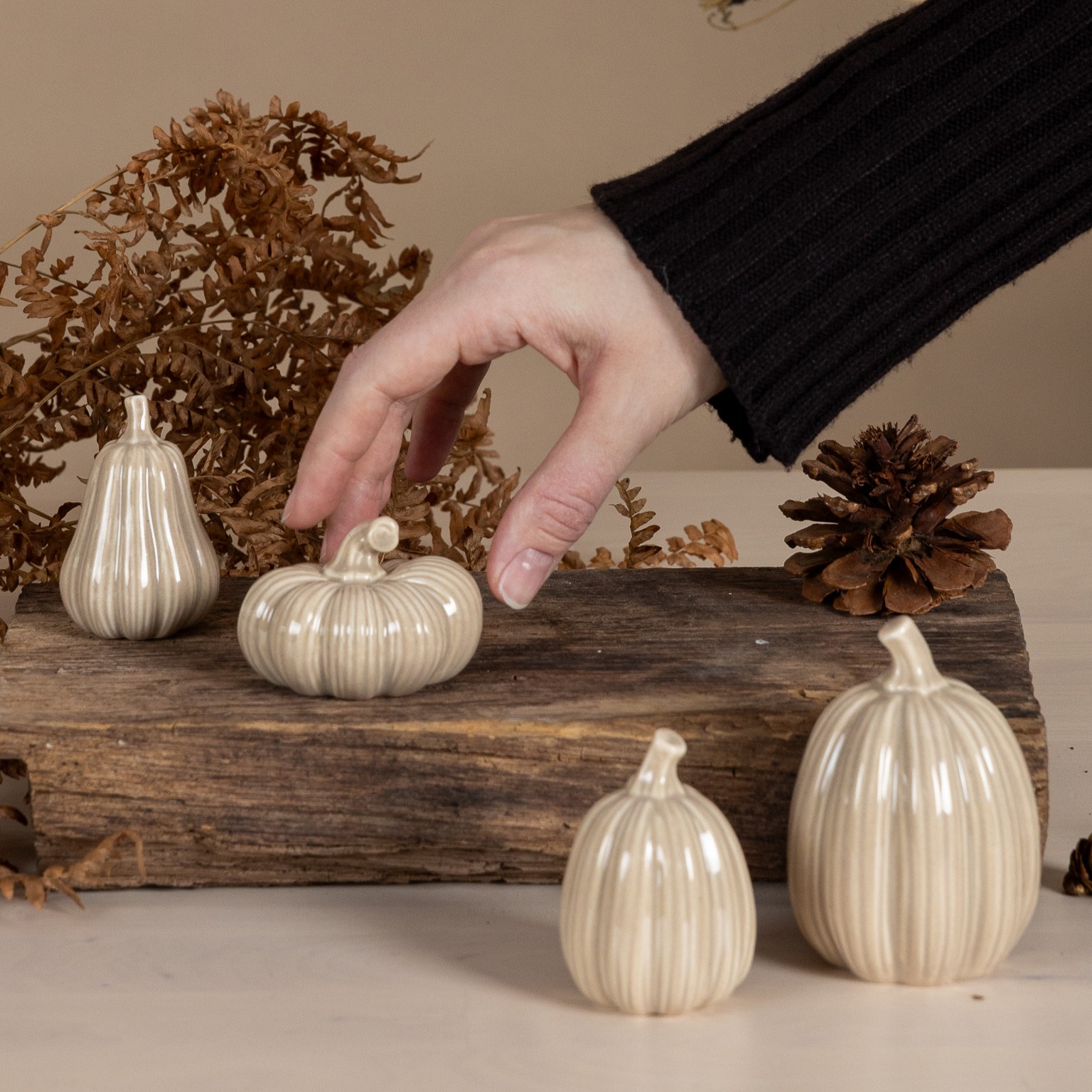 Pumpa Ekåsen - Beige - 2