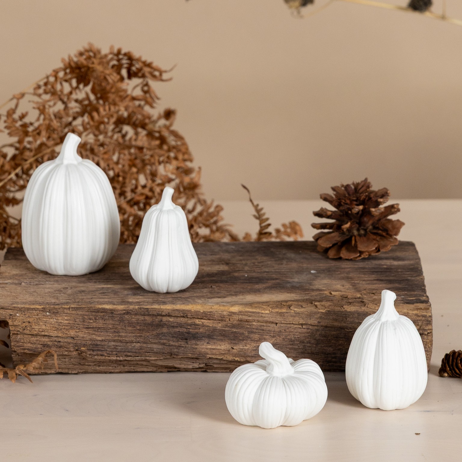 Pumpa Tranhult Liten - Vit - 2
