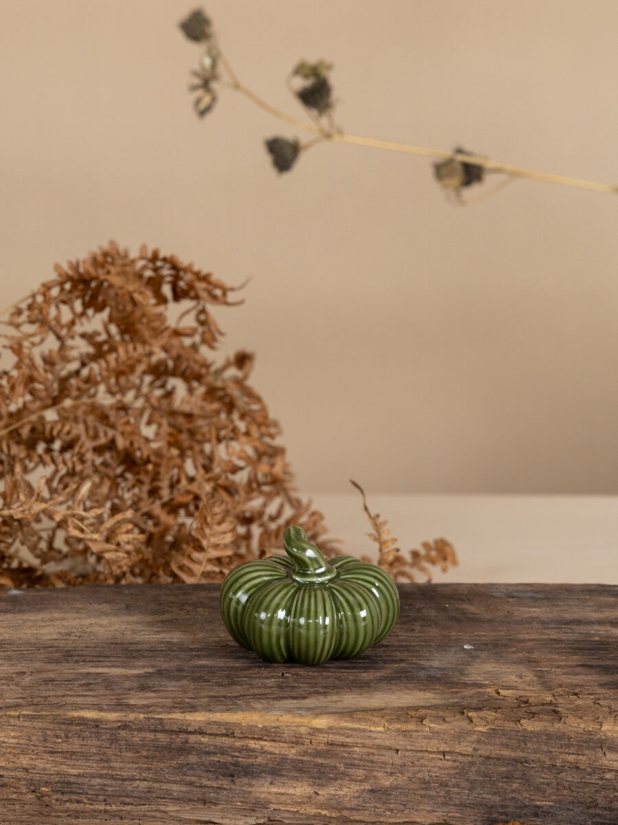 Pumpa Ekåsen - 2